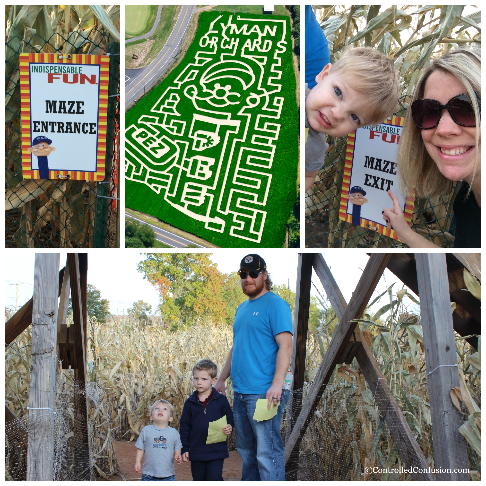 PicMonkey Family Fun At Lyman's Orchard for Our #LexusHarvest #FallFun31