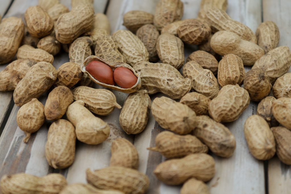 How Aralyte Combats the Growing Peanut Allergy with Early Introduction 