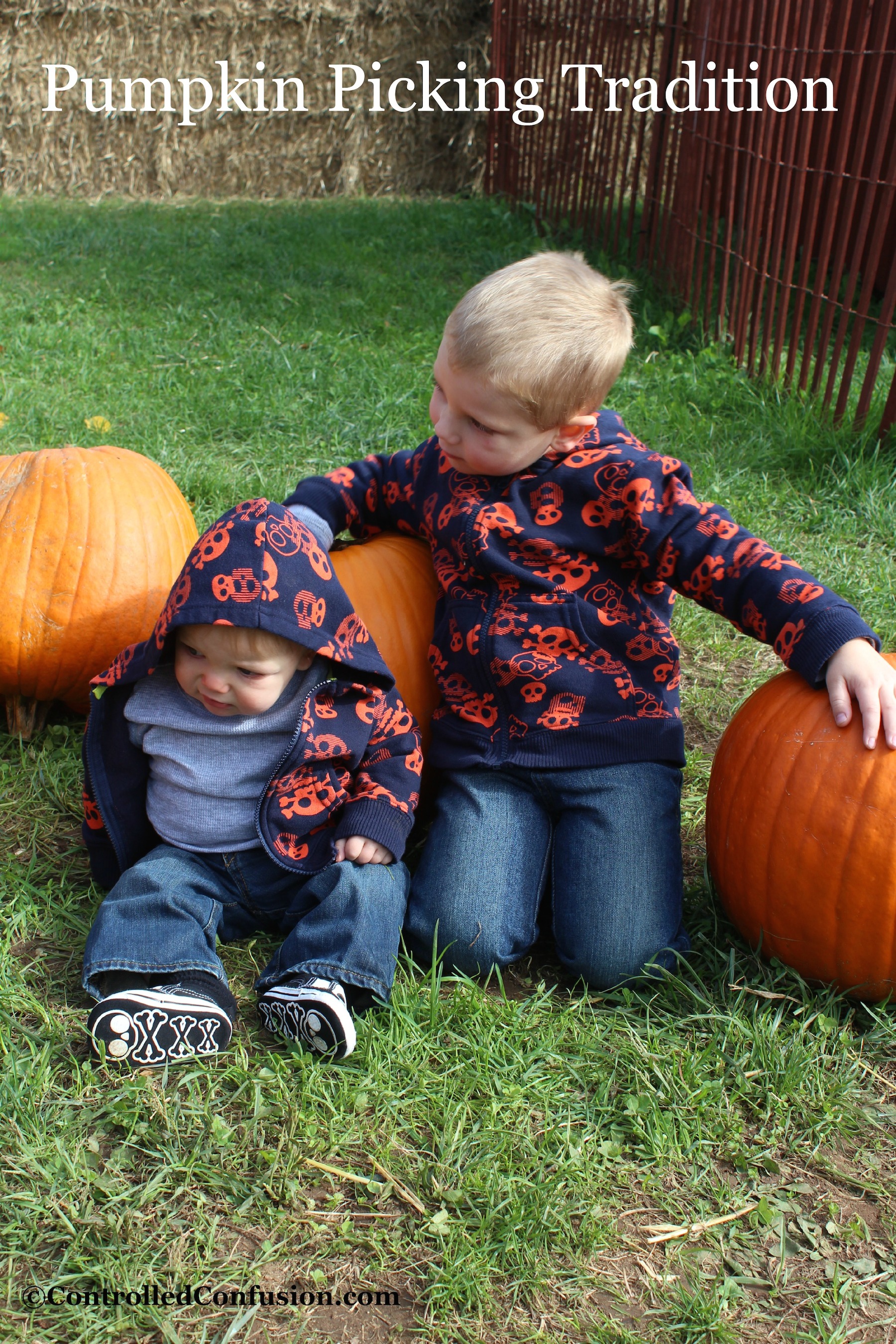 Pumpkin Picking Traditions With Friends