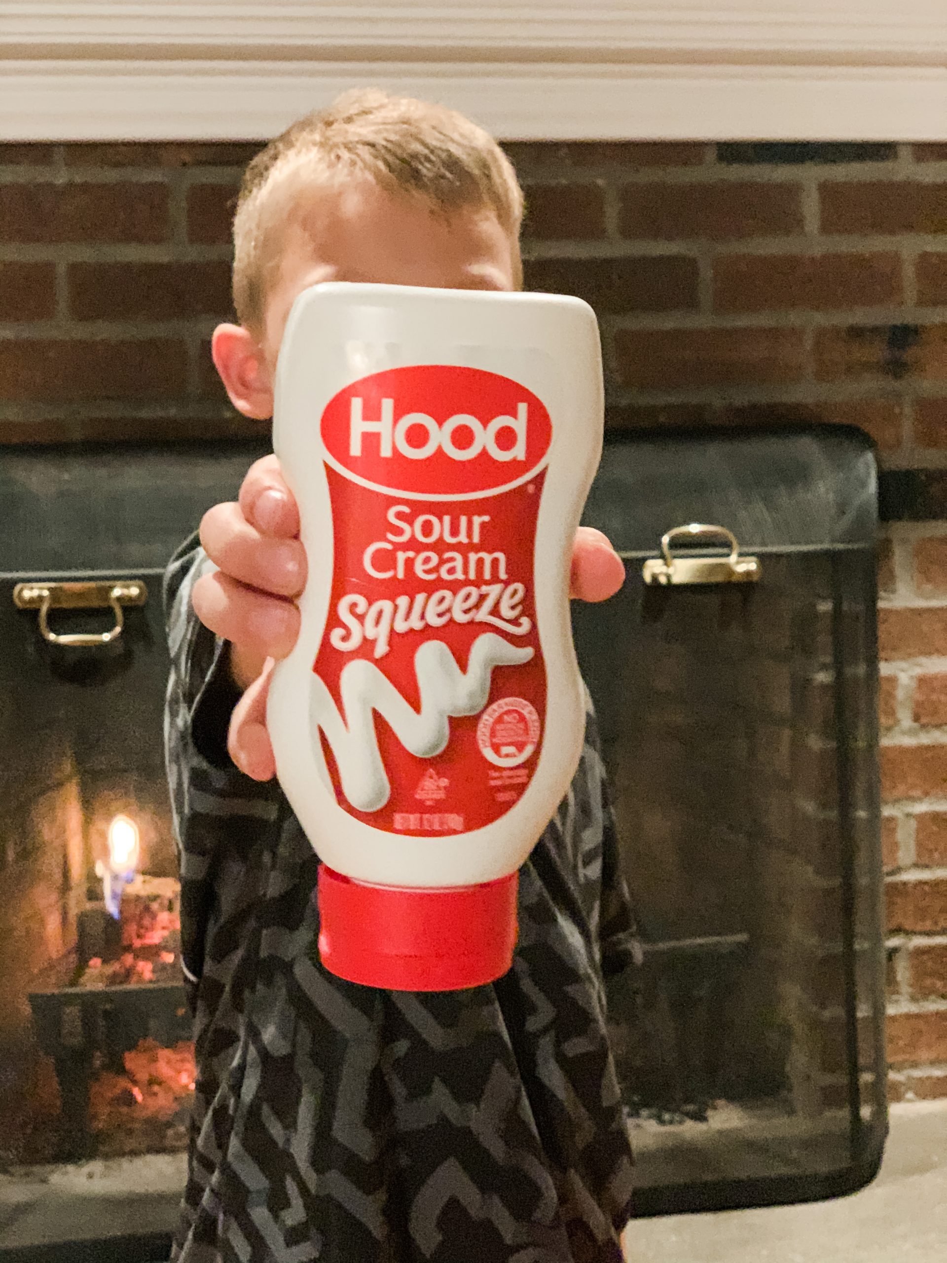 Warm Your Bones this Holiday Season with Crock-Pot Hood Sour Cream Chicken