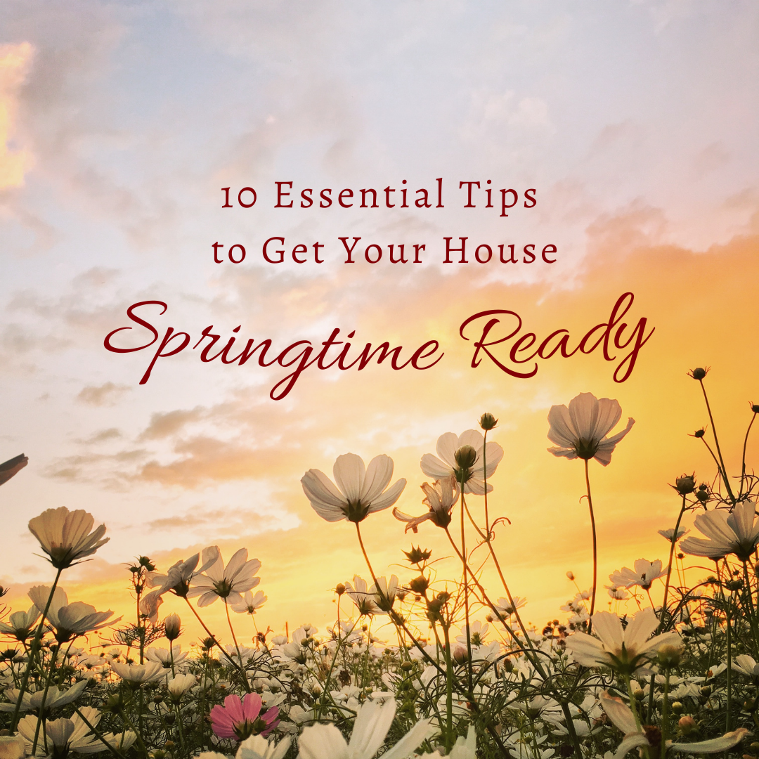 10 Essential Tips to Get Your House Springtime Ready